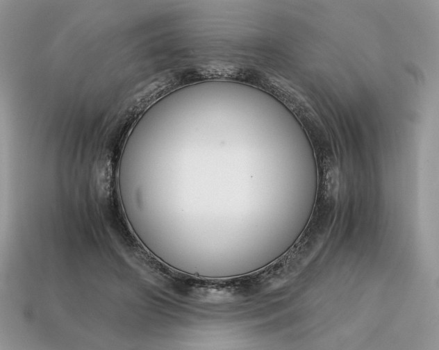 X0000114600498200911091320