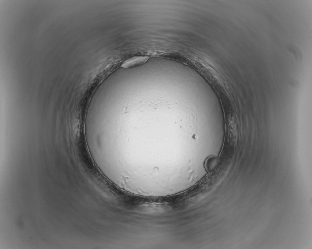 X0000114600499200911091320