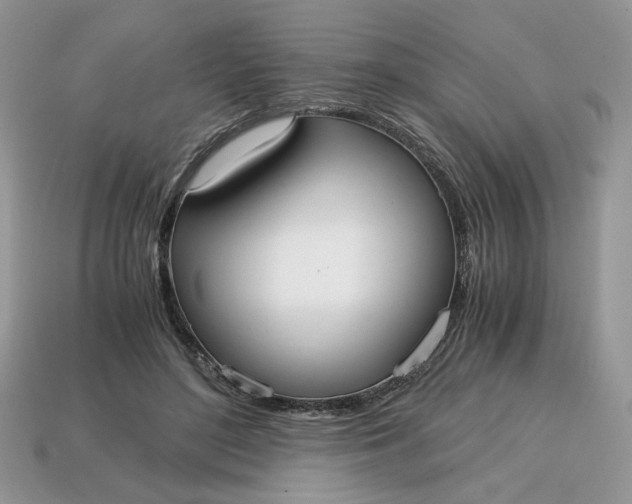 X0000114600500200911091320