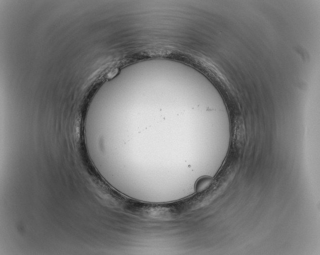 X0000114600501200911091320