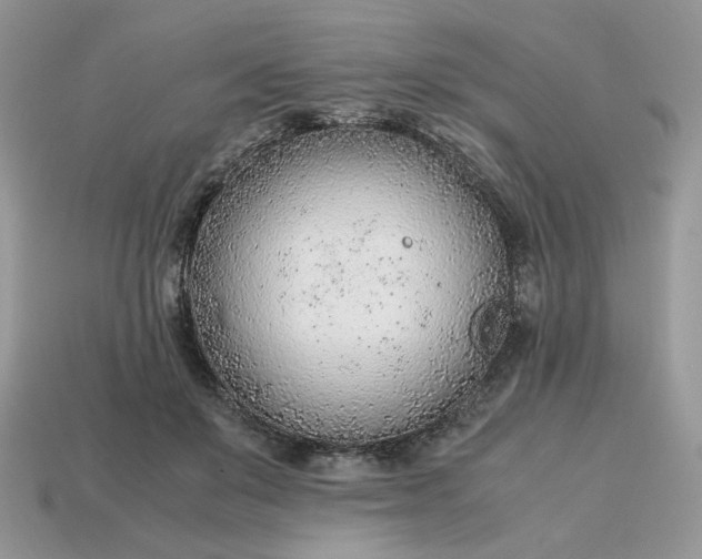 X0000114600503200911091320