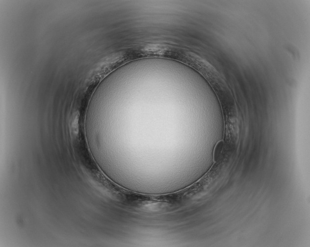 X0000114600504200911091320