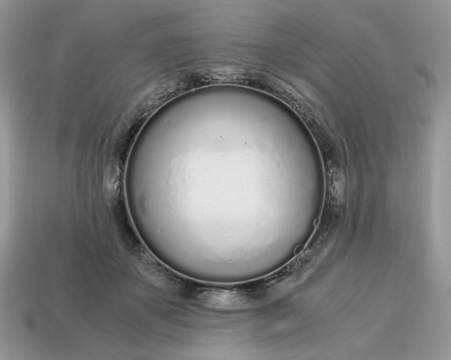 X0000114600507200911091320