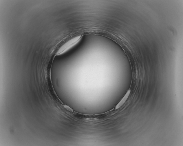 X0000114600508200911091320