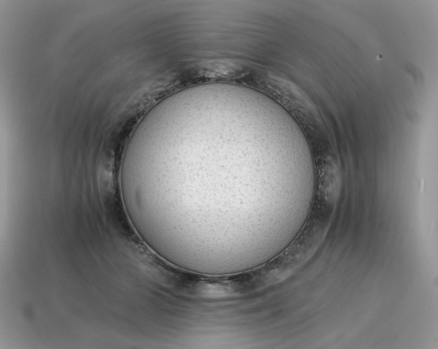 X0000114600510200911091320