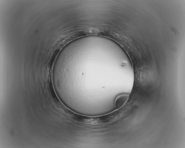 X0000114600511200911091320