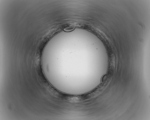 X0000114600513200911091320