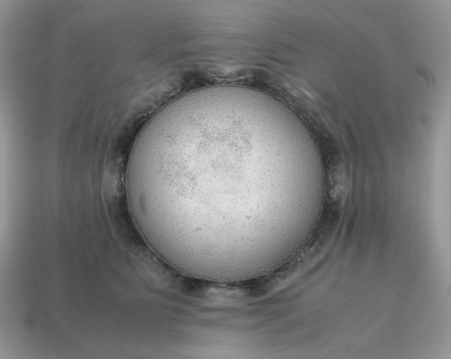 X0000114600515200911091320