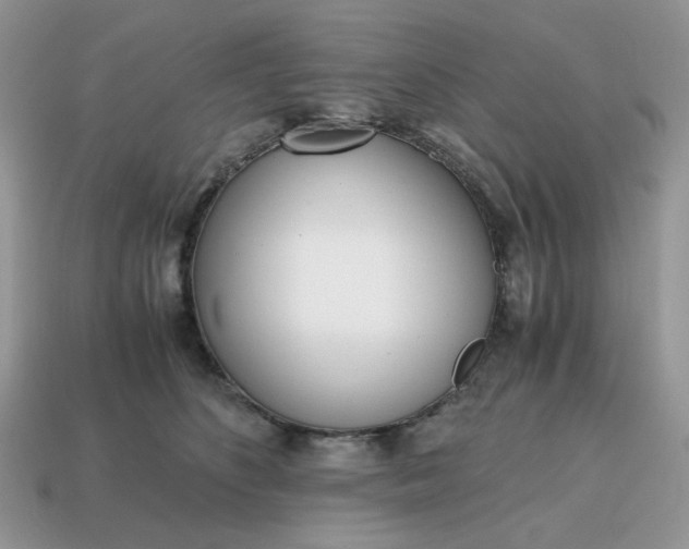 X0000114600516200911091320