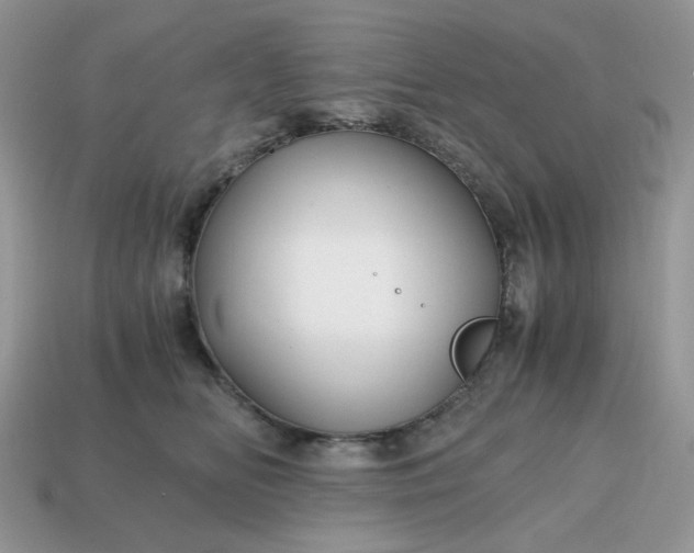 X0000114600518200911091320