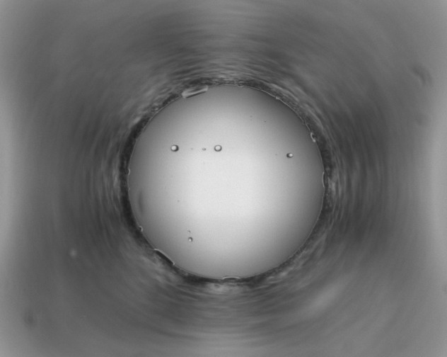 X0000114600520200911091320