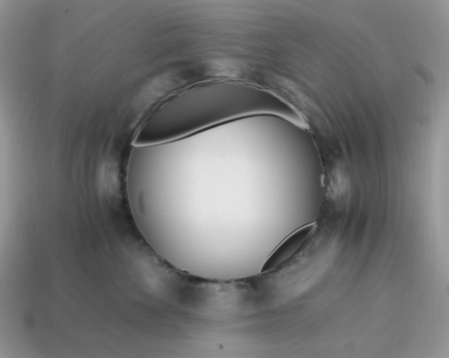 X0000114600524200911091320