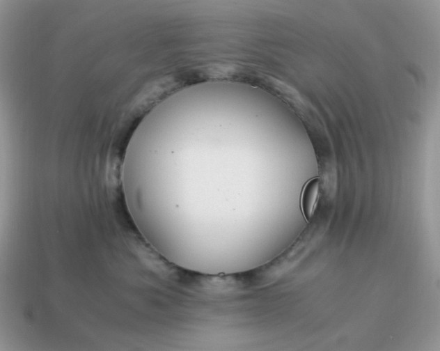 X0000114600525200911091320