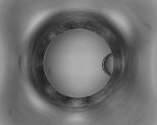 X0000114600526200911091320