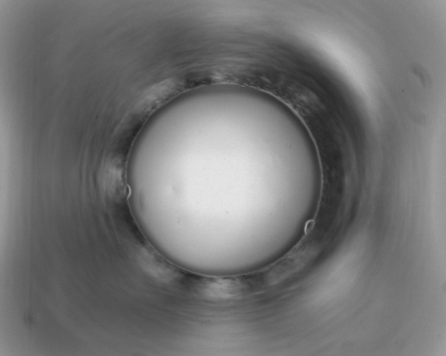 X0000114600527200911091320