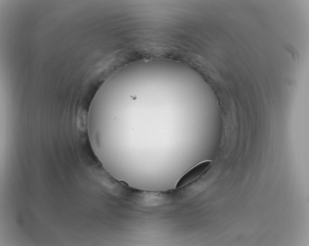 X0000114600528200911091320