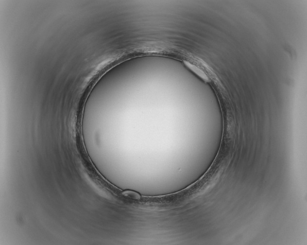 X0000114600530200911091319