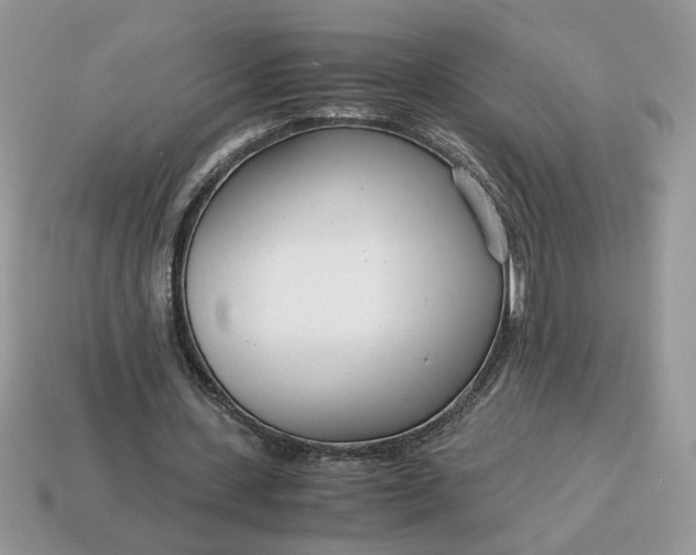 X0000114600531200911091319