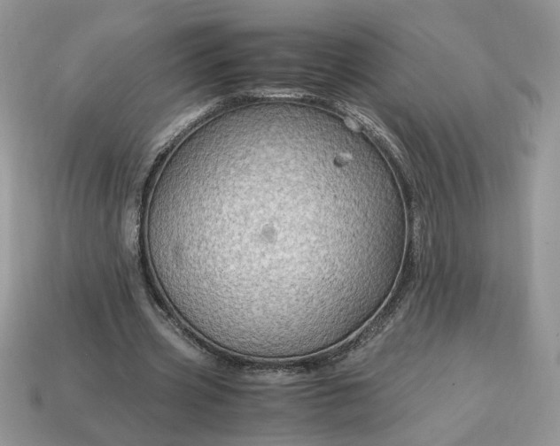 X0000114600533200911091319