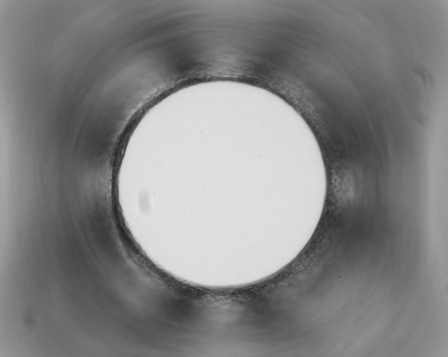 X0000114600534200911091319