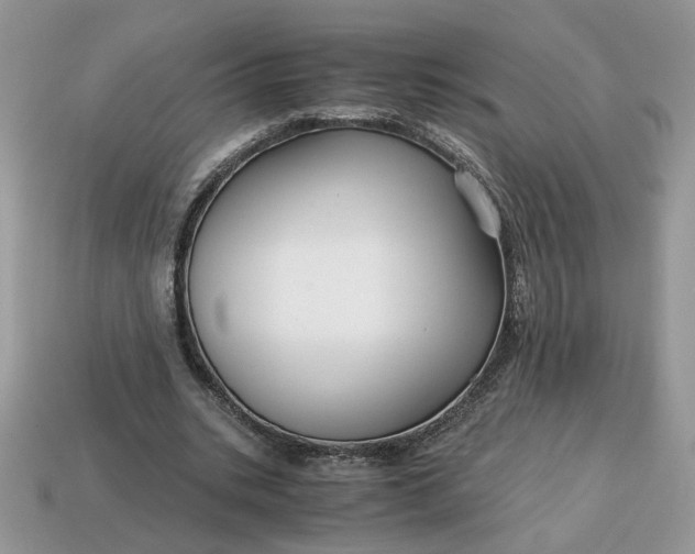 X0000114600535200911091319