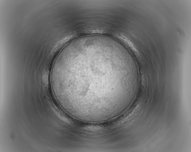 X0000114600537200911091319