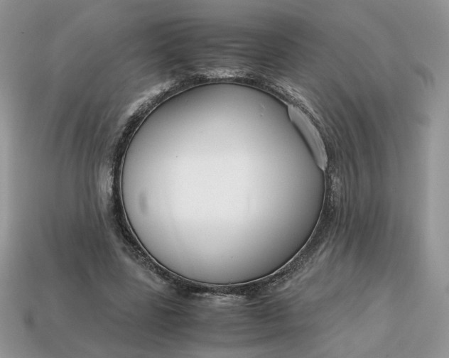 X0000114600539200911091319