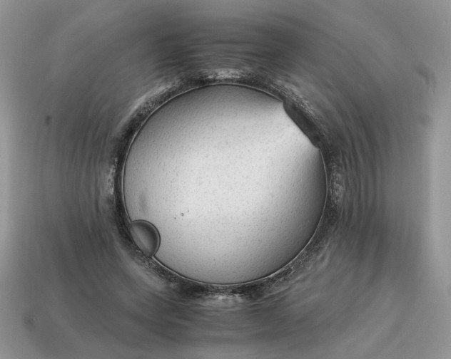 X0000114600543200911091319