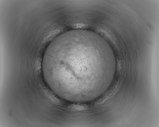 X0000114600545200911091319