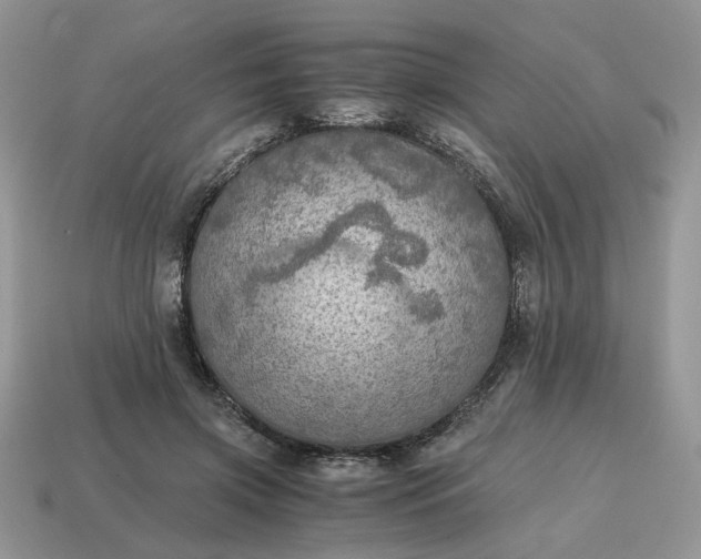 X0000114600549200911091319