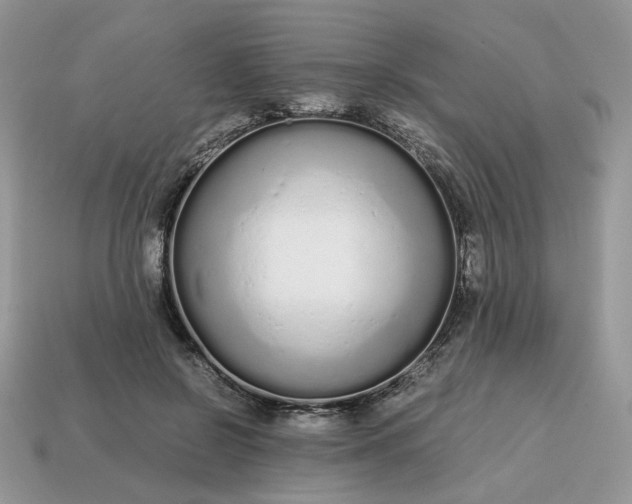 X0000114600550200911091319