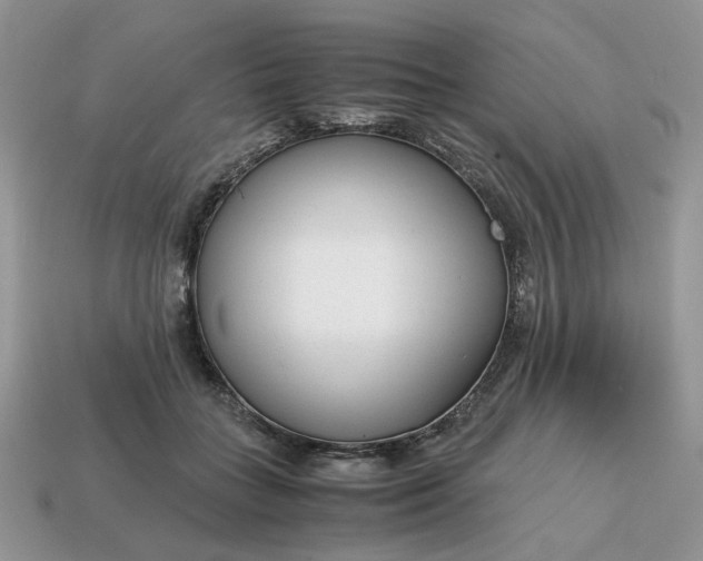 X0000114600555200911091319