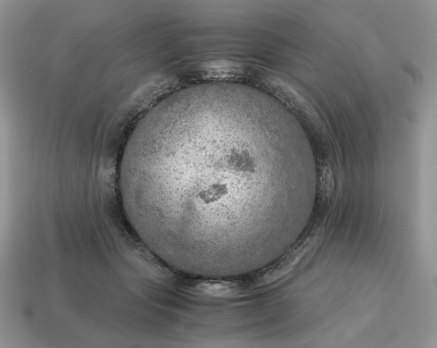 X0000114600557200911091319