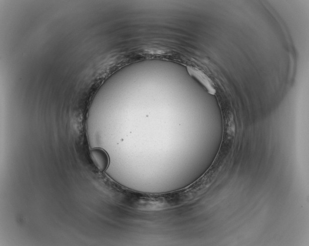 X0000114600559200911091319