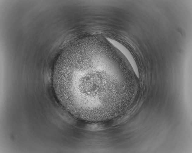 X0000114600561200911091319