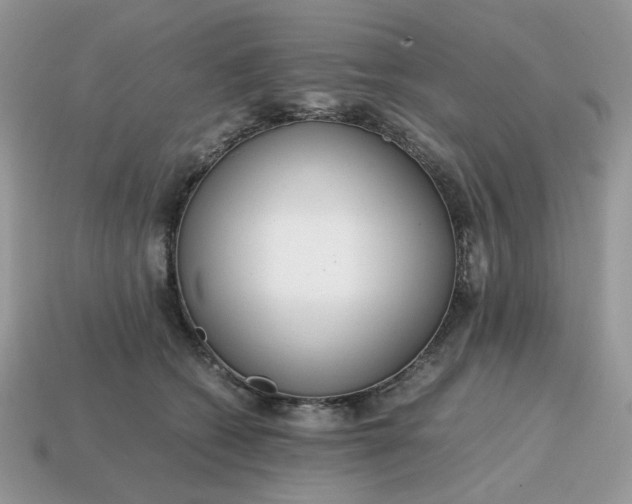 X0000114600562200911091319