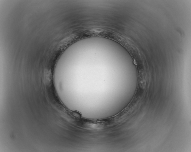 X0000114600563200911091319