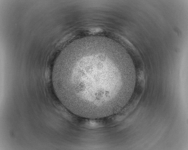 X0000114600565200911091319