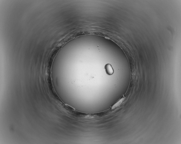 X0000114600566200911091319