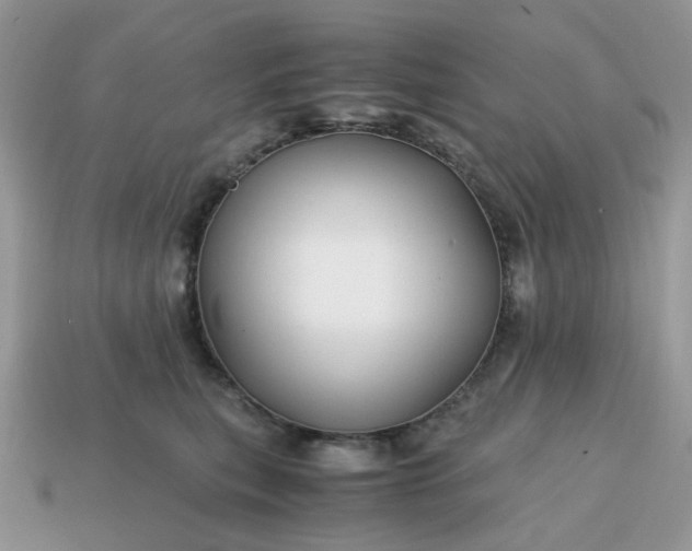 X0000114600567200911091319