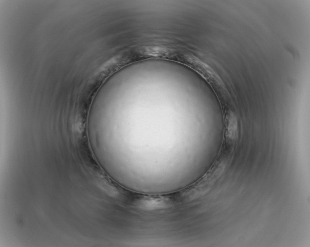 X0000114600569200911091319