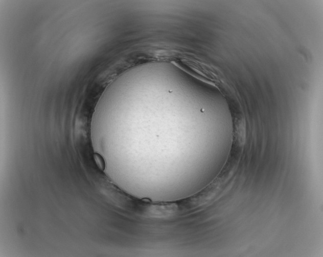 X0000114600571200911091319