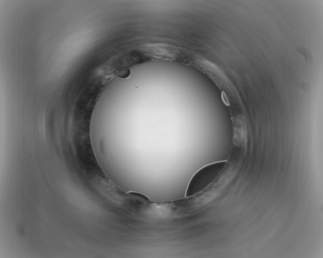 X0000114600573200911091319