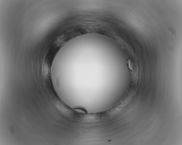 X0000114600574200911091319