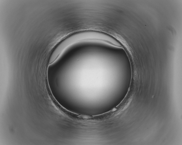 X0000114600577200911091319