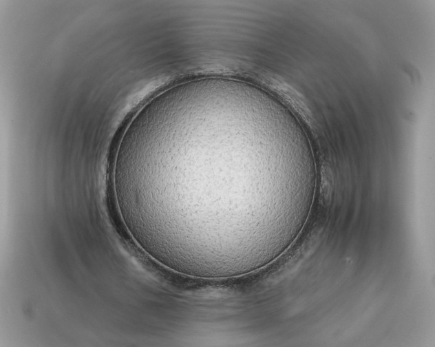 X0000114600578200911091319