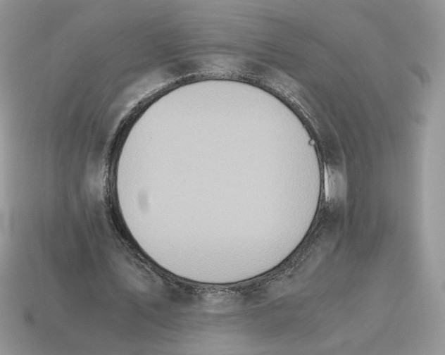 X0000114600579200911091319