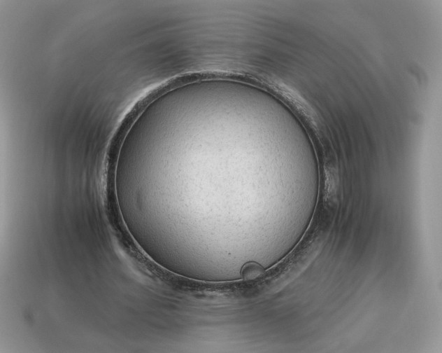 X0000114600580200911091319