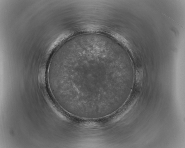 X0000114600581200911091319