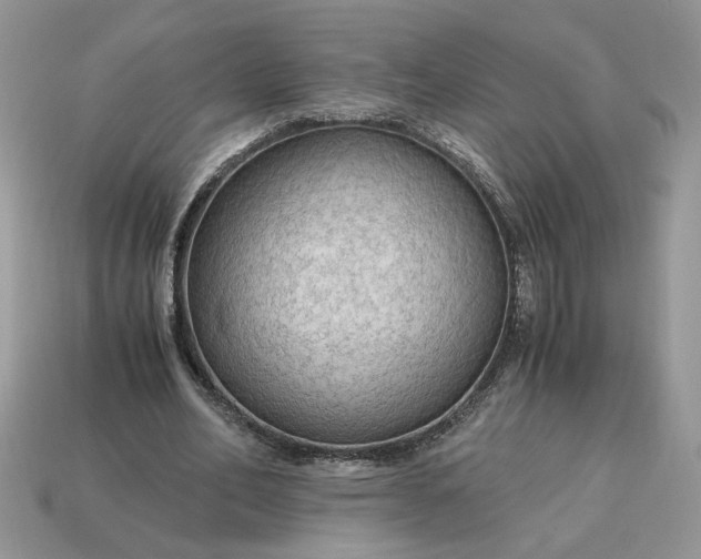 X0000114600582200911091319